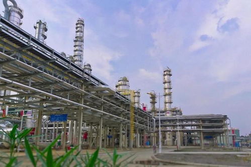 襄城縣 打通全球獨(dú)一無二的煤基尼龍化工產(chǎn)業(yè)鏈