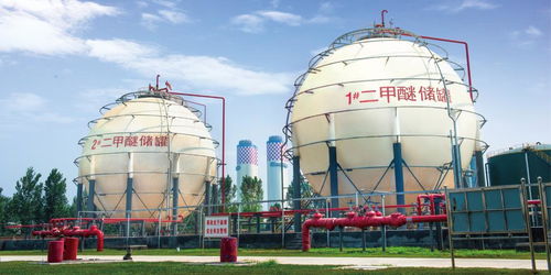 豫見新華 第1眼 踩好低成本 差異化 蹺蹺板 的心連心